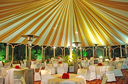 Click here for close up